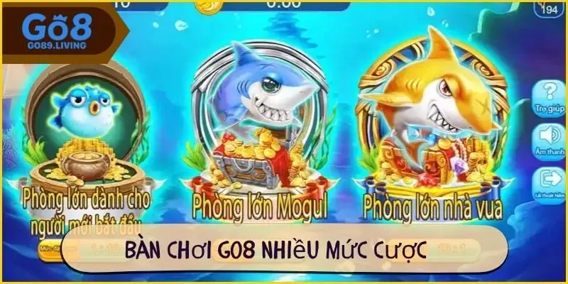 Bàn chơi Go8 nhiều mức cược