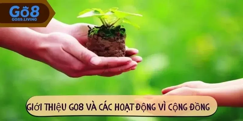 Giới thiệu Go8 và các hoạt động vì cộng đồng