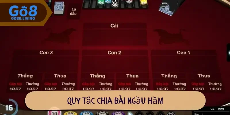Quy tắc chia bài ngầu hầm