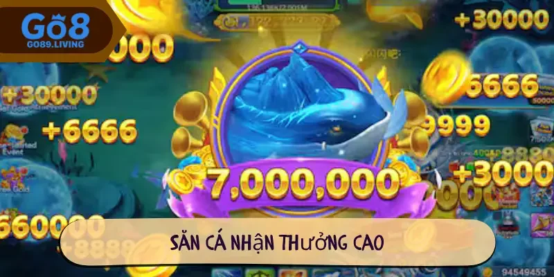 Săn cá  nhận thưởng cao